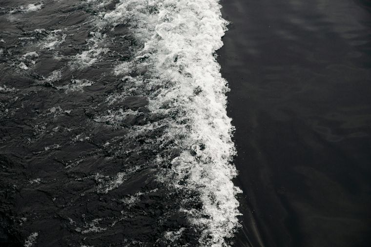 Wave in the ocean